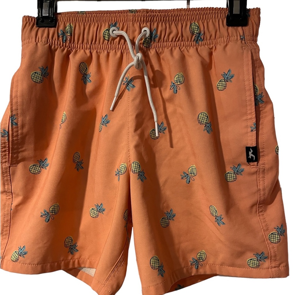HOLLISTER Swim Trunks